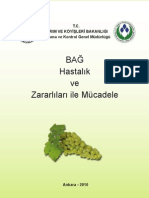 baghastalikmucadele