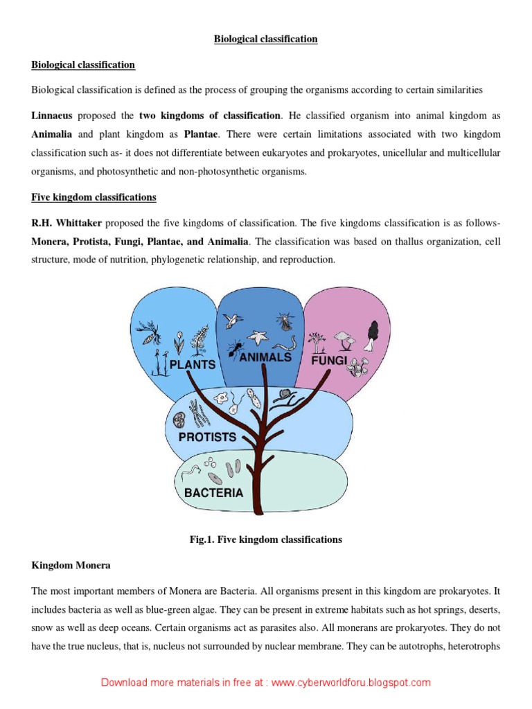 WHAT IS BIOLOGICAL CLASSIFICATION SIMPLE DEFINITION visual data 7