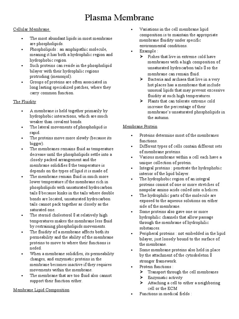 Plasma Membrane | PDF | Cell Membrane | Ion