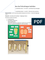 Rangkuman Pertumbuhan Dan Perkembangan Tumbuhan