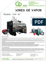 Generadores de vapor CGV-M: características y especificaciones