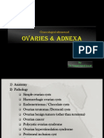 Ovaries & Adnexae