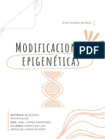 Modificaciones Epigenéticas