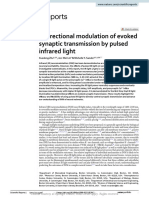 Bidirectional Modulation of Evoked Synaptic Transm