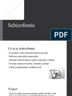 Schizofrenie Basic Prezentace