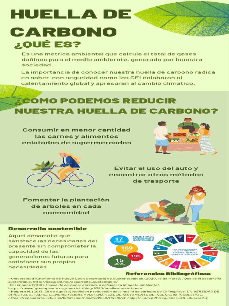 Recomendaciones para reducir la huella de carbono | PDF | Ciencias ...