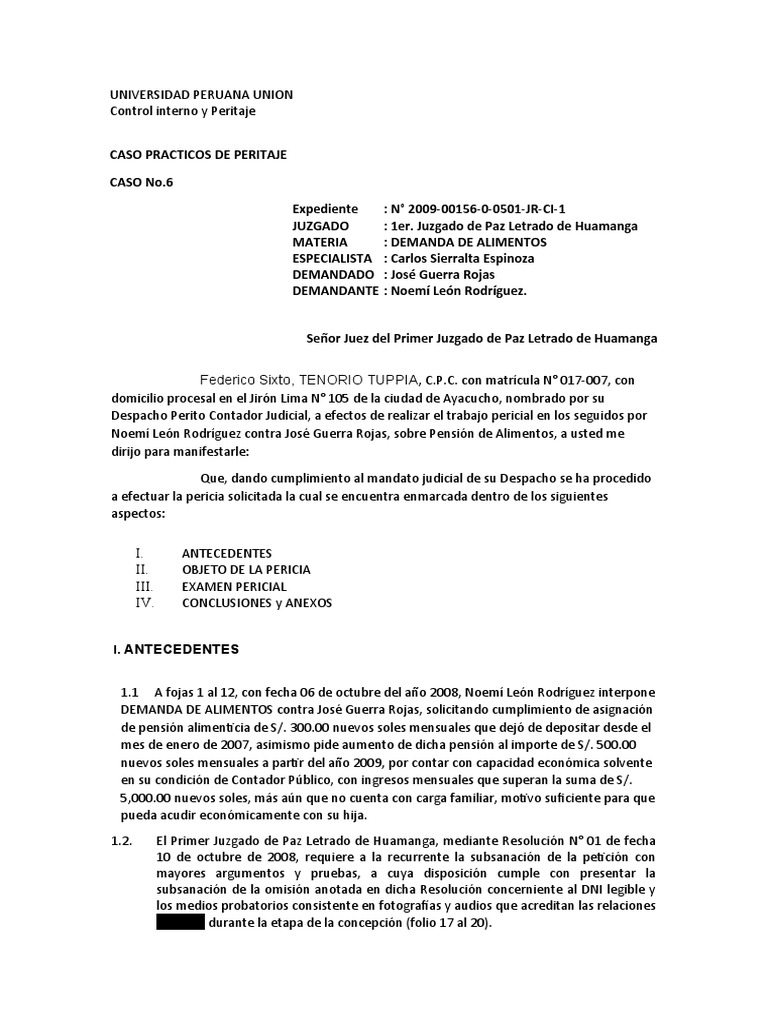 Caso N°6 - Informe de Peritaje | PDF | Testigo experto | Bancos