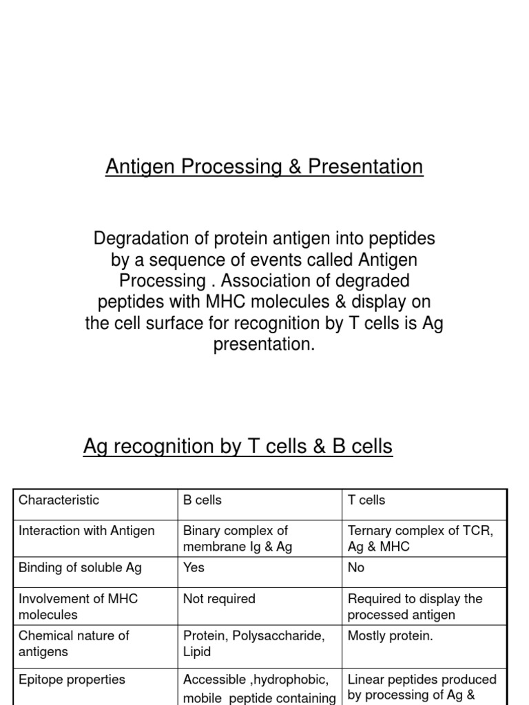 Antigen Processing and Presentation Overview | PDF