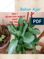 Bahan Ajar Set 2