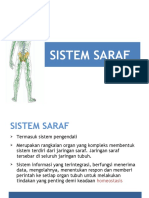 Kuliah 3. Anatomi Sistem Saraf