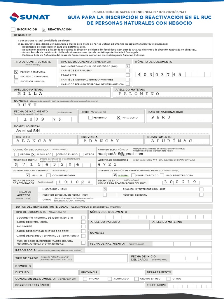 Guía SUNAT: Inscripción RUC Perú | PDF | Gobierno y personalidad