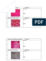 TP Histologi Blok Muskuloskeletal 2.0