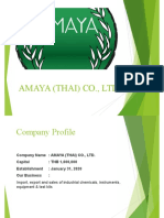 Amaya - Company Profile