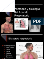 Aparato Respiratorio Prep