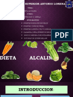 Dieta Alcalina Grupo 8 3
