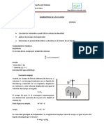 PRAC5 Fluidos1