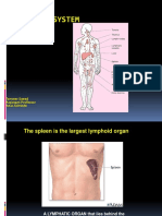 Lymphatic System Part 2 