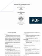 Tongku Ahmad Robi Hasibuu_Executive summary.pdf