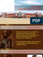 Sistem Pernapasan