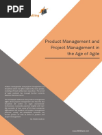 Product Management and Project Management in The Age of Agile BlinkPaper