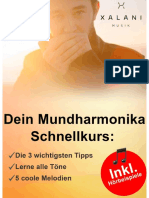 Mundharmonika Schnellkurs