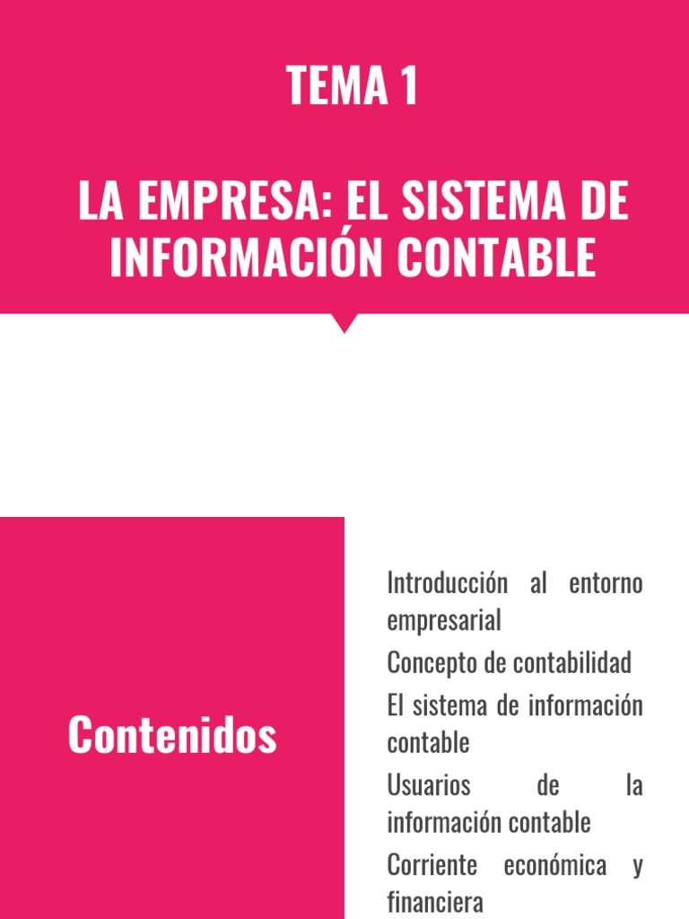 Tema 1 La Empresa El Sistema de Información Contable | PDF ...