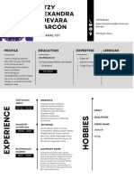 Data Analyst: Profile Education Expertise Lenguas