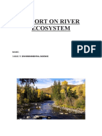 Report On River Ecosystem