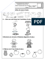 EVALUACION III TRIMESTRAL 4 AÑOS Ciencia y Ambiente