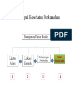 Teori Simpul Kesehatan Perkemahan Manajemen Faktor Resiko