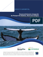 RIMA Bacia Campos P Baleias Mar 2020