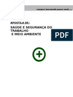 58822843-Apostila-2-Saude-Seg-Trabalho-e-Meio-Ambiente