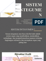 Biomedik Sistem Integumen