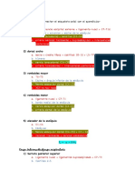 Origen e Inserción Anatomía I - Definitivo2