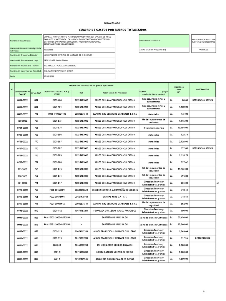 Formato 11 | PDF