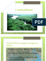 Presentation On Sundarban