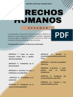 Derechos Humanos Resumen