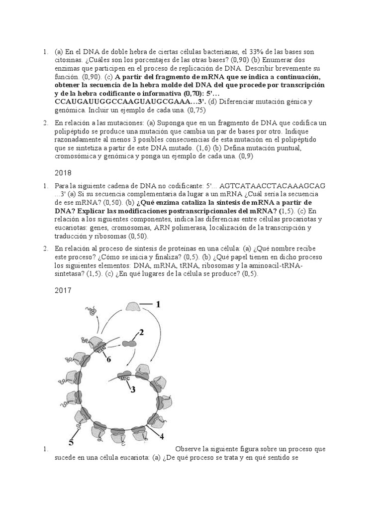 Mutaciones y Procesos de Replicación de ADN | PDF | Codigo genetico ...