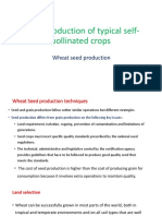 Seed Production in Self Pollinated Crops - Wheat