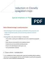 Seed Production of Clonally Propagated Crops