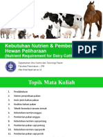 14 Kebutuhan Nutrien Pemberian Pakan Pet Animal