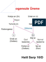 Partenogenezle Üreme 829 10D