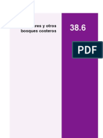 Manglares y Otros Bosques Costeros