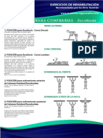 Escoliosis Espanol