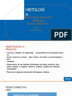 Practica Tejido Conectivo Histologia 4ta Semana I-2021 (1) (1) - 210926 - 195644
