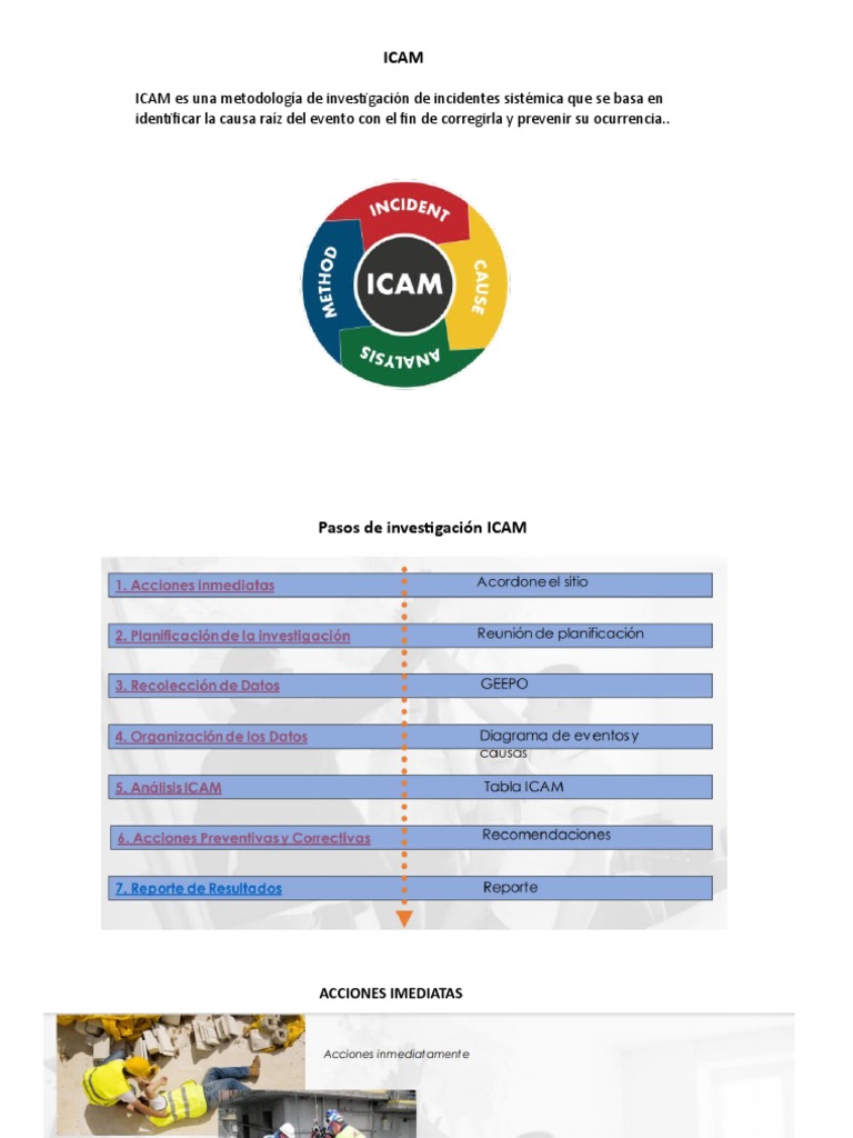 ICAM INVESTIGATION GUIDE PDF visual data 2