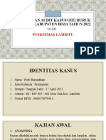 Audit Gizi PKM Lambitu