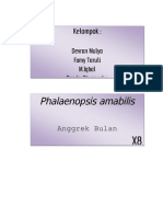 anggrek