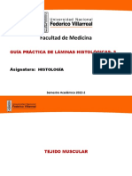 Guía Práctica 5 de Láminas Histológícas