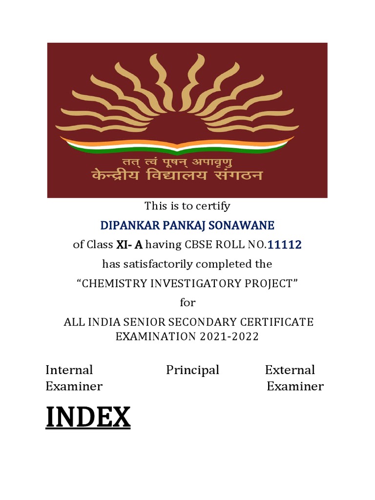 Chem Project PDF Soap Chemistry